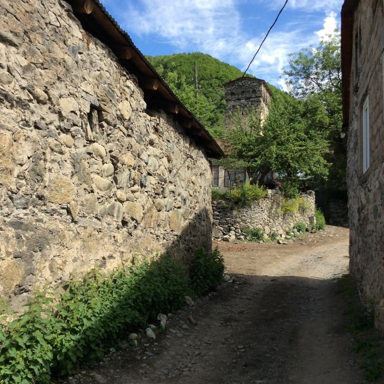 Guest House Chuta In Lagami Местия Екстериор снимка